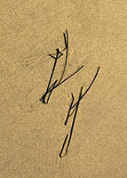 Enc046